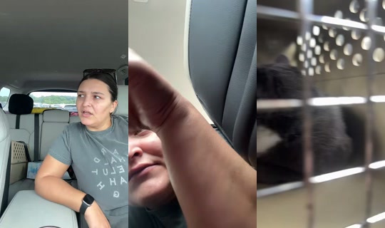 elizabethmarieabr's Stream - Aug 5, 2026, 4:37 PM