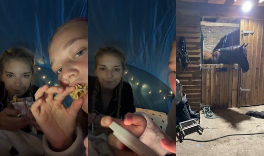 ellie_mainn's Stream - Jul 21, 2026, 9:10 PM