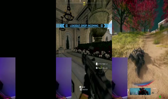 elysewhimsy's Stream - Aug 5, 2026, 2:00 AM