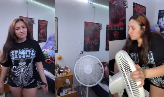 emerilinaaaa.a's Stream - Jul 28, 2026, 2:22 AM