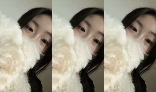 eoxococoso's Stream - Jul 26, 2026, 6:09 PM