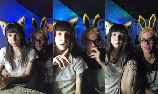 everyday.is.caturday's Stream - Aug 9, 2026, 7:50 PM