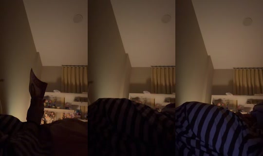 fartpresident 录制于 2026年10月4日 17:41