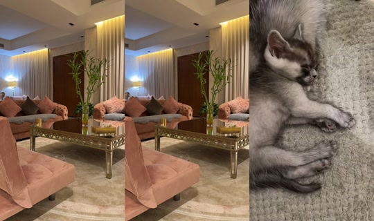 fatima_alhousani1's Stream - Jul 23, 2026, 3:56 PM