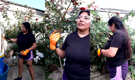 firdous2505's Stream - Jul 23, 2026, 11:04 PM