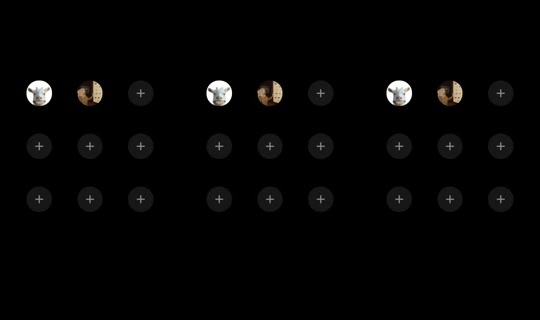 friedchickylady's Stream - Sep 2, 2026, 3:41 PM