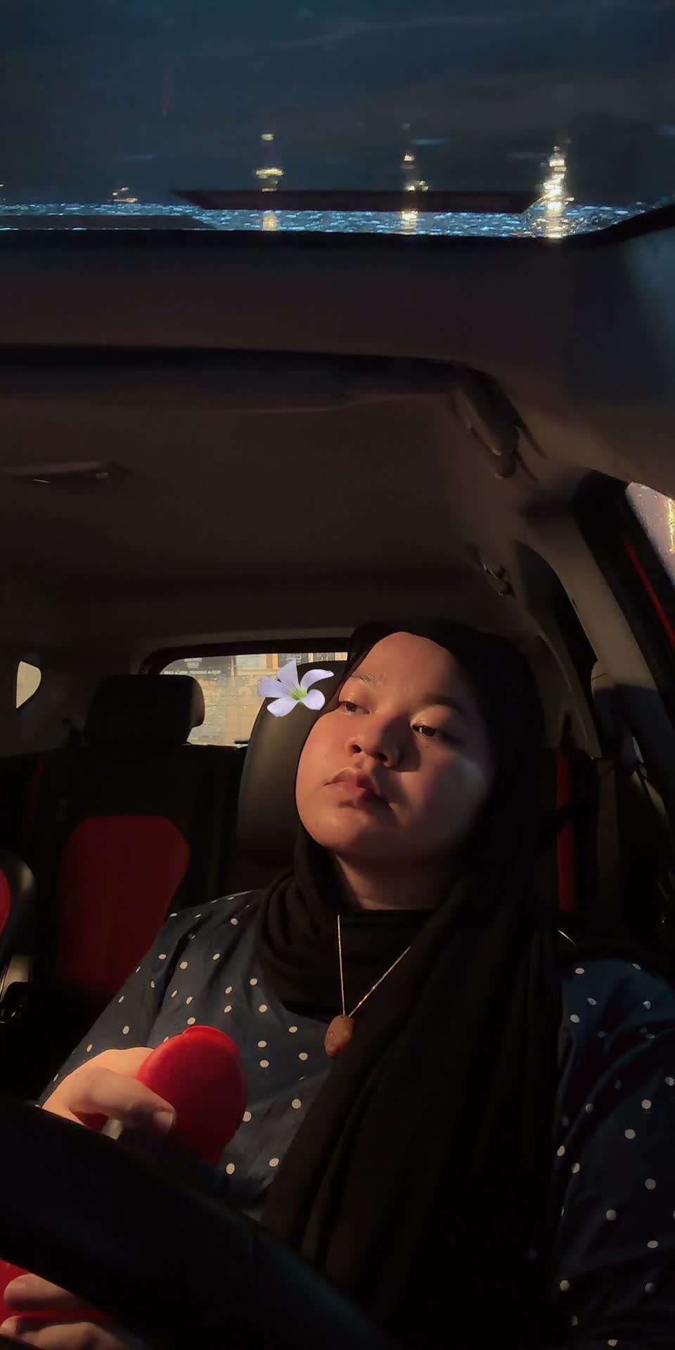 friedchickylady