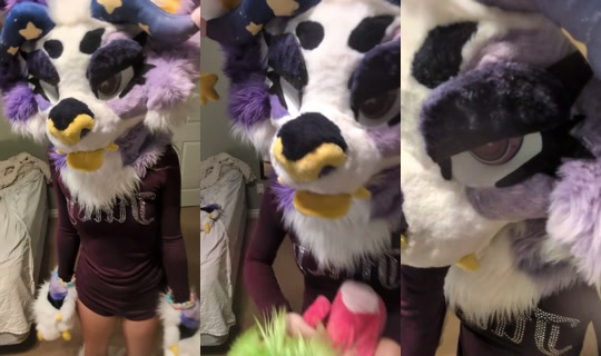 furryshortcake's Stream - Sep 22, 2026, 6:03 PM