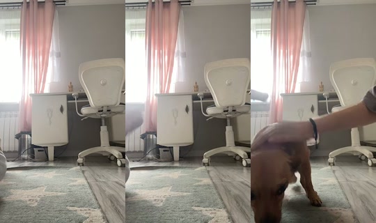 Stream von fuzzy.pawsss – 22. Aug. 2026, 10:51