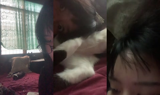 g0ryfangs_'s Stream - Jul 31, 2026, 7:15 AM
