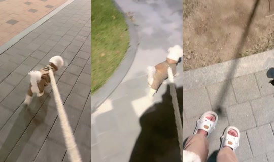 gangsodam00's Stream - Oct 22, 2026, 7:43 PM