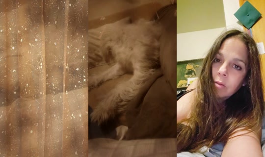 Stream ni genx_cougarbeautifulove - Ago 9, 2026, 7:30 AM