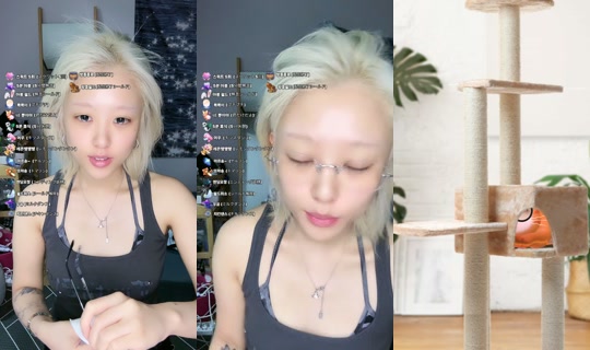 ggoncho___'s Stream - Jul 24, 2026, 11:56 AM