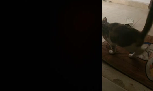 ghazalmm35's Stream - Aug 3, 2026, 12:09 AM