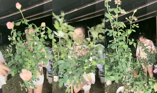 glaowtip's Stream - Jul 16, 2026, 12:52 PM