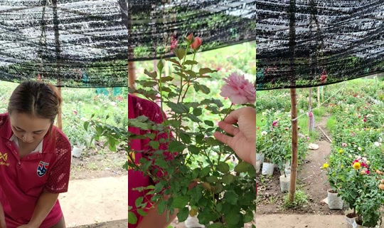 glaowtip's Stream - Jul 28, 2026, 3:55 AM