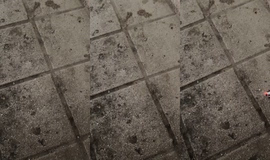 gongjunim1014's Stream - Jul 10, 2026, 8:08 AM