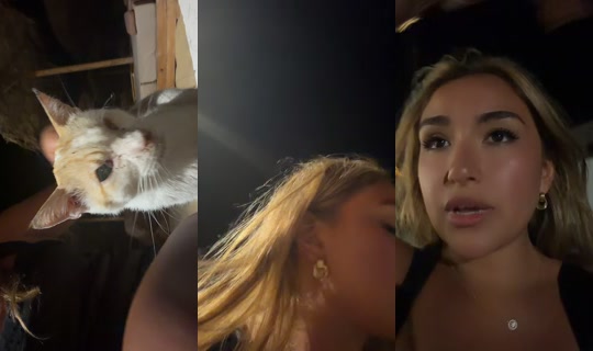 gracie.kf's Stream - Aug 8, 2026, 8:54 PM