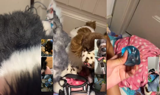 grwm_payzley's Stream - Jul 23, 2026, 11:21 PM