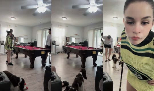 guara_niaoficiall's Stream - Jul 28, 2026, 9:14 PM