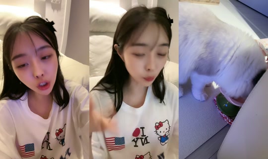 gyunie01's Stream - Oct 8, 2026, 3:04 PM