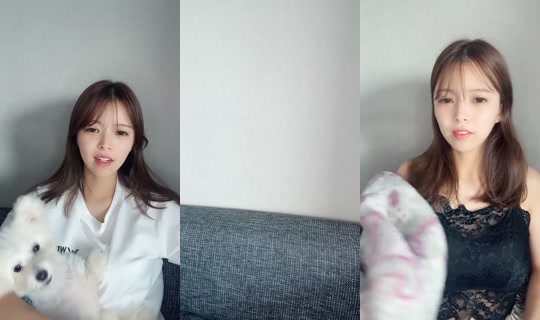 gyuutandaisuki0818's Stream - Jul 22, 2026, 6:03 AM