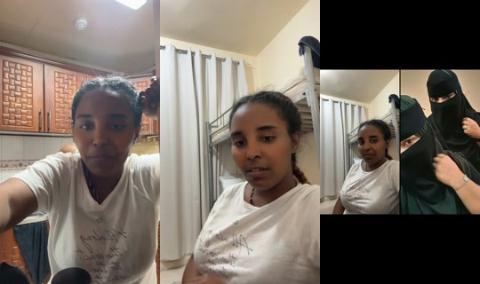hanicho295's Stream - Oct 19, 2026, 7:13 PM