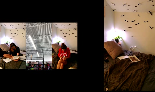 hannahrosesoleil's Stream - Aug 10, 2026, 4:12 AM