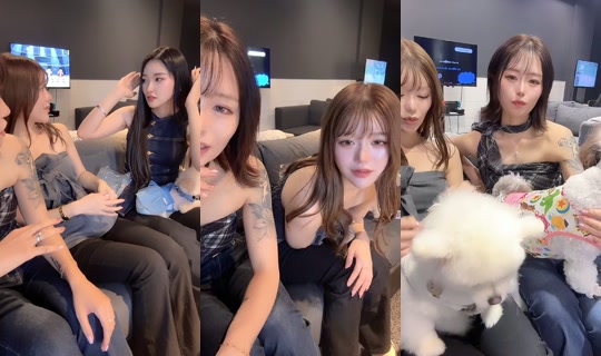 hiina_datsumo's Stream - Aug 9, 2026, 6:56 AM