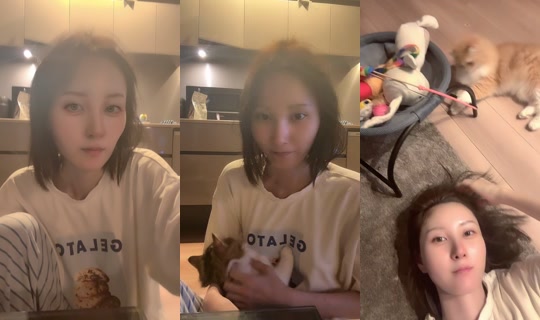 himeno801's Stream - Jul 12, 2026, 10:53 AM