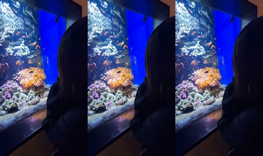 hinano642's Stream - Jul 30, 2026, 10:44 AM