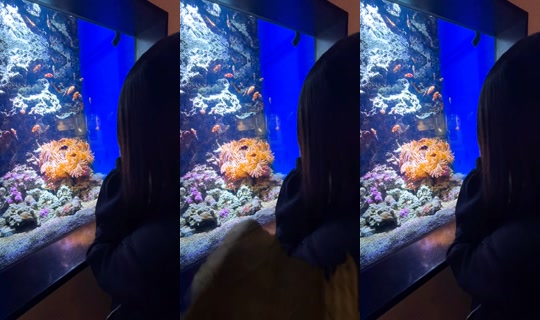 hinano642's Stream - Aug 3, 2026, 11:57 AM