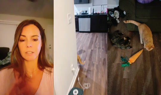 htownashley's Stream - Jul 19, 2026, 4:08 AM