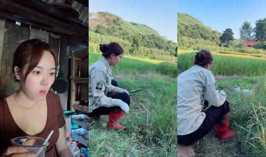 huong_linh97's Stream - Oct 8, 2026, 8:31 AM