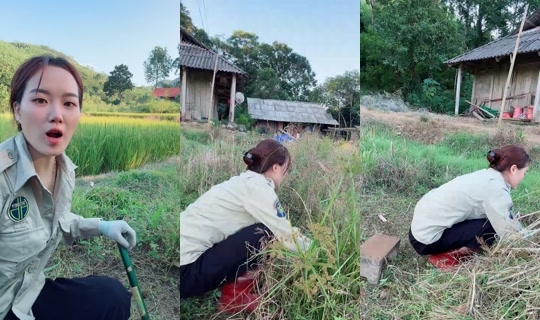 huong_linh97's Stream - Oct 8, 2026, 9:22 AM