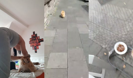 hxmxrxo's Stream - Jul 27, 2026, 1:07 PM