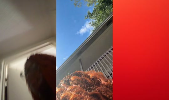 ijswannstuff's Stream - Oct 2, 2026, 3:53 PM