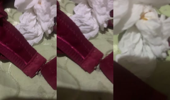 ikajasmin's Stream - Jul 22, 2026, 8:54 PM