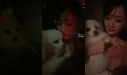 ikoicheko's Stream - Aug 6, 2026, 12:59 PM