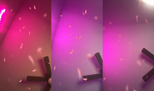 ilovejaymarie2_'s Stream - Jul 24, 2026, 2:06 AM