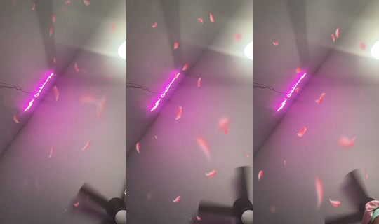 ilovejaymarie2_'s Stream - Jul 24, 2026, 3:52 AM