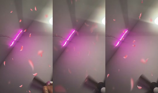 ilovejaymarie2_'s Stream - Jul 24, 2026, 4:43 AM