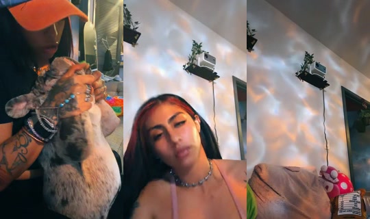 imnoturbm's Stream - Jul 13, 2026, 4:29 AM