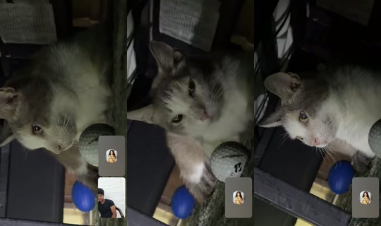 iridewhileyoucry's Stream - Jul 15, 2026, 3:30 PM