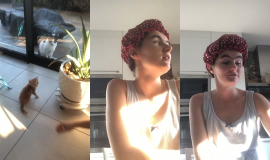 jaimepashitler's Stream - Jul 31, 2026, 6:35 AM