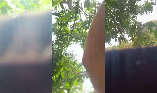 janyraontherun's Stream - Jul 29, 2026, 3:18 PM
