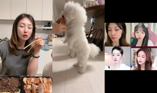 jenna__yi's Stream - Oct 2, 2026, 5:48 PM