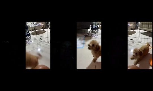 jennychallita 2026年7月21日 18:04 に録画