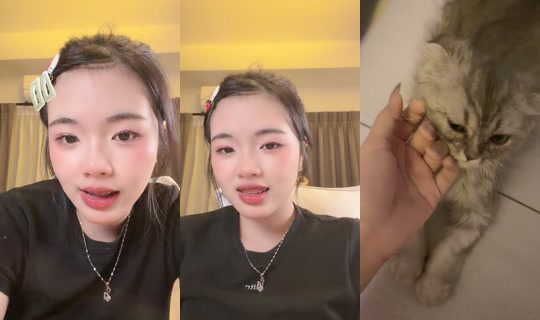Stream ni jerryji_ - Hul 28, 2026, 9:21 PM