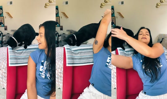 jessicajeanb's Stream - Aug 7, 2026, 8:53 PM